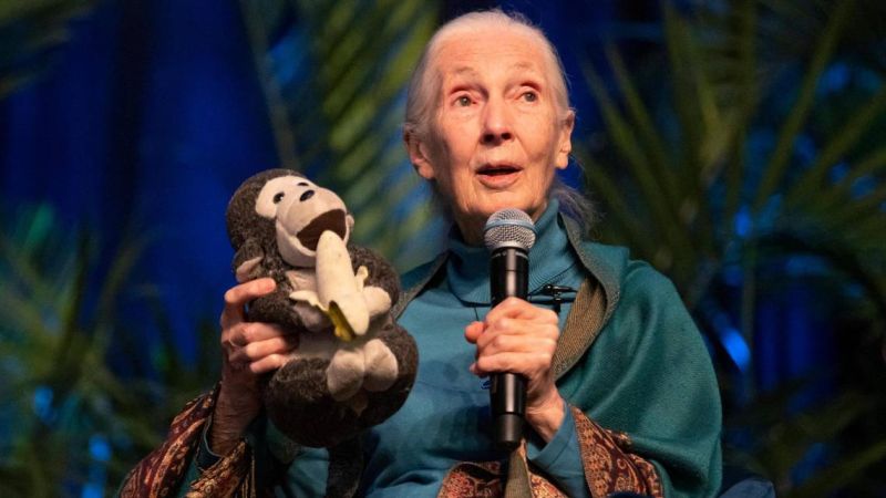 File:Jane Goodall GFC 2019.jpg